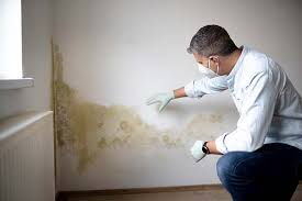 Best Mold Odor Removal Services  in Cardington, OH